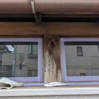 画像1543