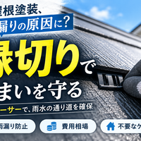 画像2233