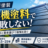 画像2239