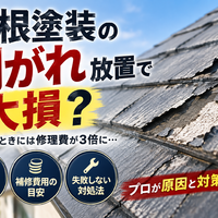 画像2249