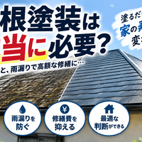 画像2379