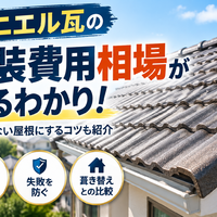 画像2537