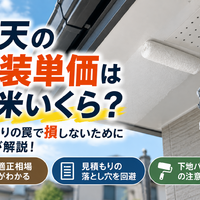 画像2541