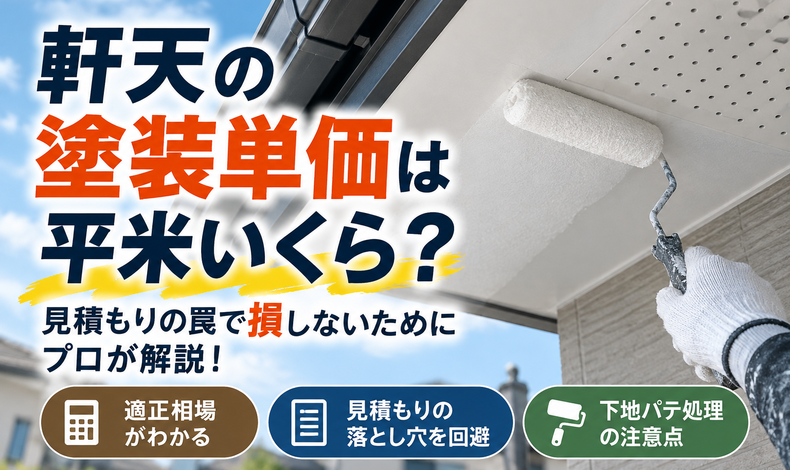 画像2541
