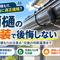 画像2547