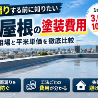 画像2549