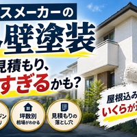 画像2565