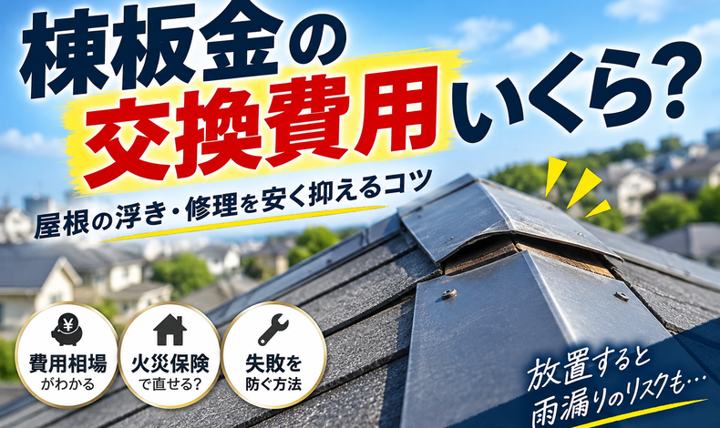 画像2571