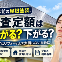 画像2599