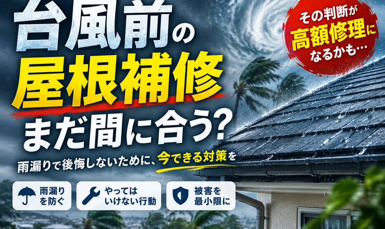 画像2609