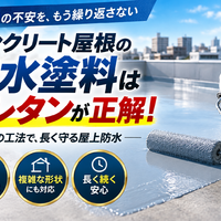 画像2625