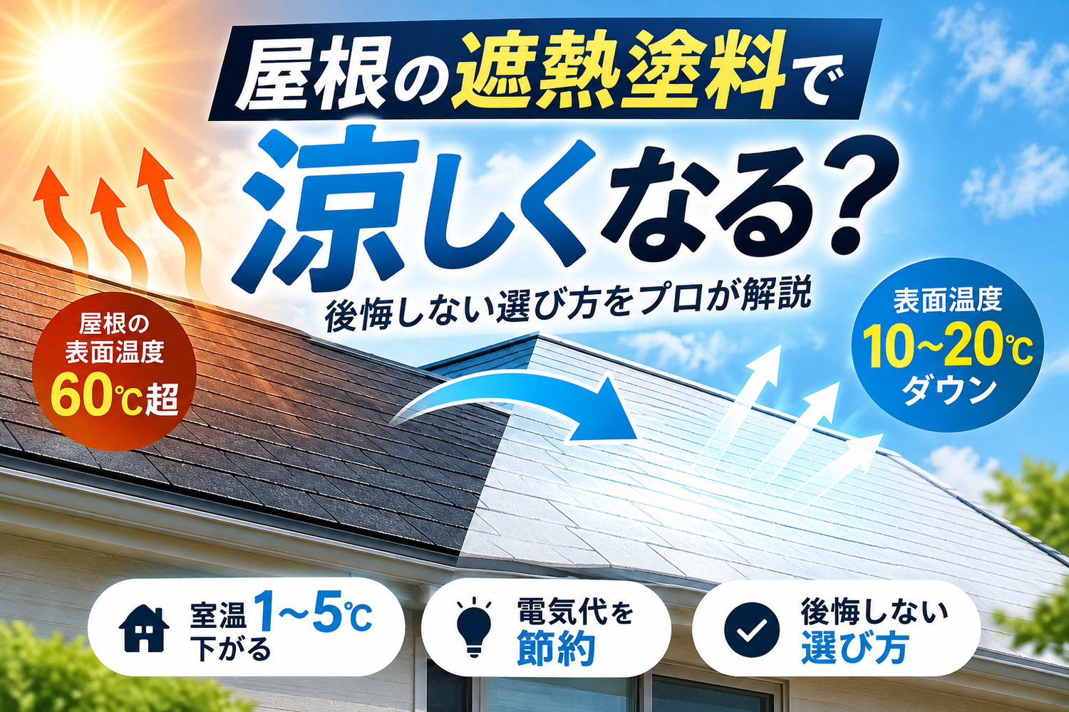 画像2629