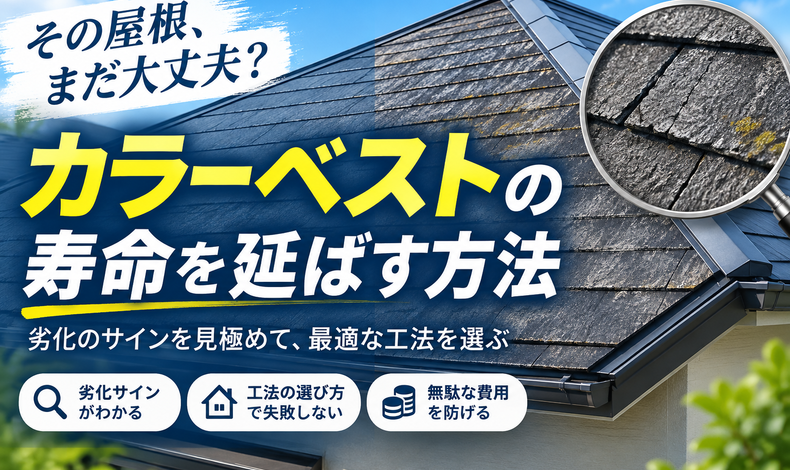 画像2642