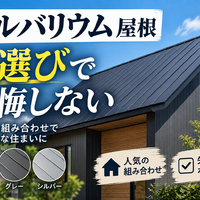 画像2654