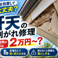 画像2662