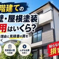 画像2678